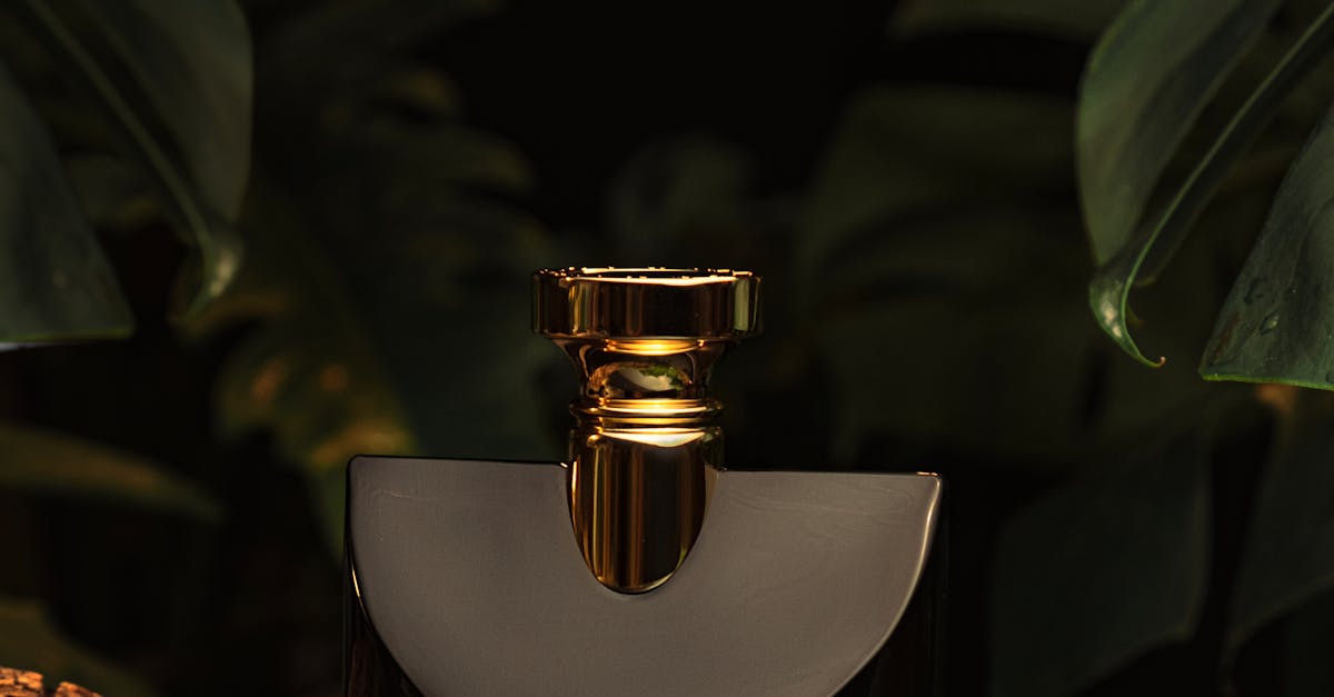 Essential Reflectors for Enhancing Light in Product Photography